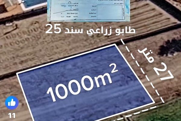 Property for sale in عرب جبور.